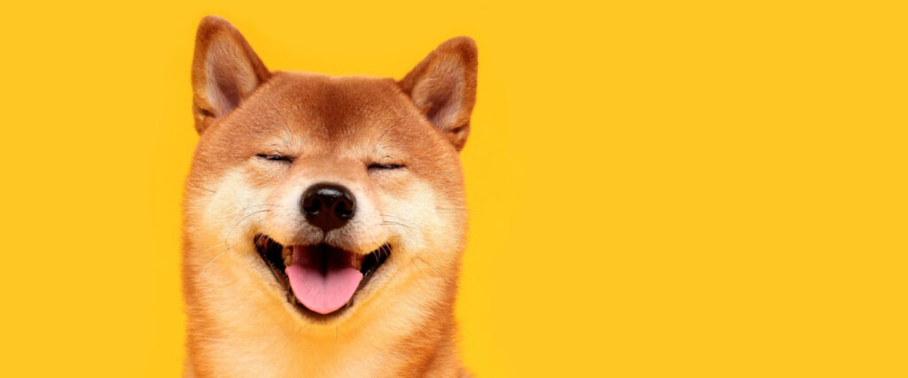 How To Invest In Dogecoin